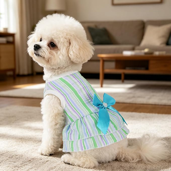 XXS Dog Clothes Girl, 2 Pack Dog Birthday Dresses for Small Dogs Girl, Extra Small Dog Clothes Designed for Tiny Puppy, Chihuahua Yorkie, Lightweight Seersucker Princess Dress Summer Blue