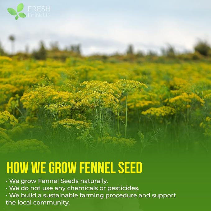 FreshDrinkUS, Premium 135 Fennel Tea Bags, 100% Natural & Pure from Fennel Seeds. Made with Natural Material Tea Bags. No Sugar, No Caffeine, No Gluten, Vegan.