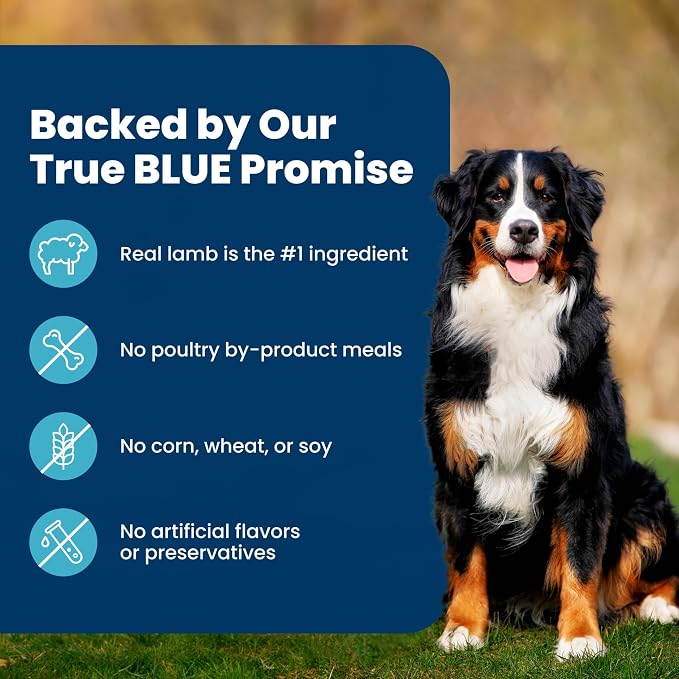 Blue Buffalo Life Protection Formula Lamb Adult Dry Dog Food, 34 lb | Real Lamb #1 Ingredient, Supports Immunity with Antioxidant-Rich LifeSource Bits, Promotes Healthy Muscle Development