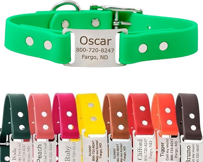 dogIDs Personalized Dog Collar – ScruffTag Custom Waterproof Biothane Dog Collar with Laser-Engraved Name, Durable & Odor-Resistant – USA Made | Bright Green, 1 in x 16 in (Fits Neck Sizes 14-18 in)
