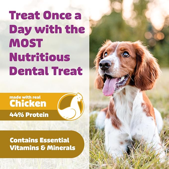 Yummy Combs Dog Dental Treats – Vet VOHC Approved – Delicious Chicken Protein – Removes Tartar with Cleaning Comb Shape – Dental Dog Treats for Extra Large Dogs (24oz, 12 Count)