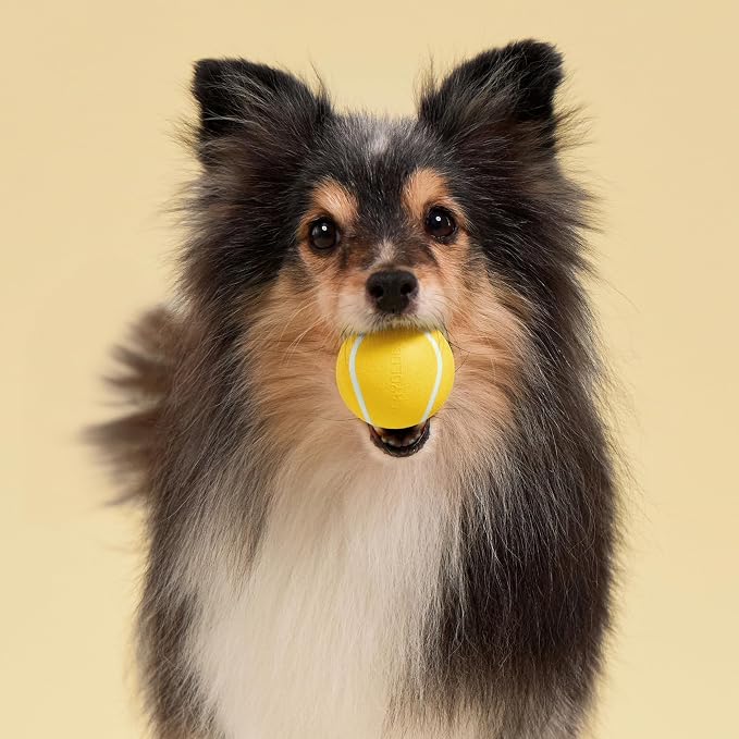 Playology Squeaky Chew Ball Dog Toy - Small, Chicken Scent, 3-Pack