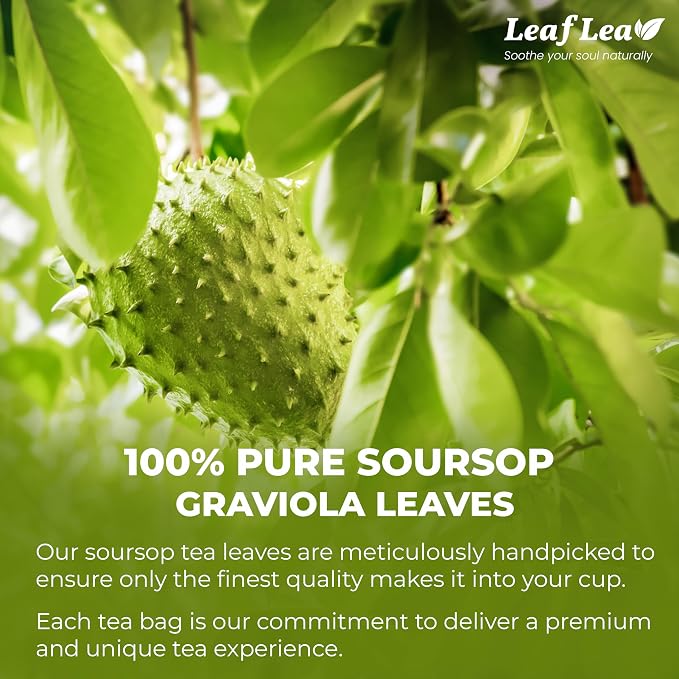 LeafLea 160 Premium Soursop Tea Bags, Natural & Pure Soursop Graviola Tea Leave, Hoja Guanabana Leaf Herbal Tea Bags Variety Pack of 4, Digestive Support, Nutrient-Rich, Vegan, Sugar/Caffeine Free