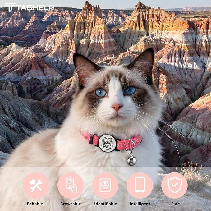 2-Pack Reflective-Breakaway Cat Collars with Bells with QR Code Name Tag, Cat ID Tag Personalized,Smart ID tag Cat Collar,Ideal for Girl Cats Male Cats Kittens Puppies (Black&Pink,NO airtag Holder)