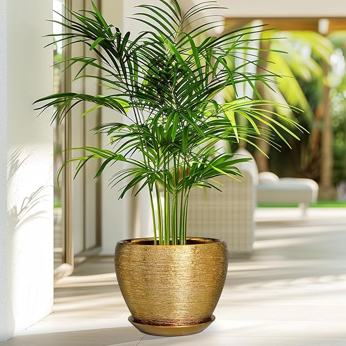 Ceramicfor Ceramic Plant Pot 8 Inch - Planter for Outdoor Plants Indoor Plant Pot with Drainage Hole and Saucer Decorative Round Planter Modern Flower Pot for House Decor Gold