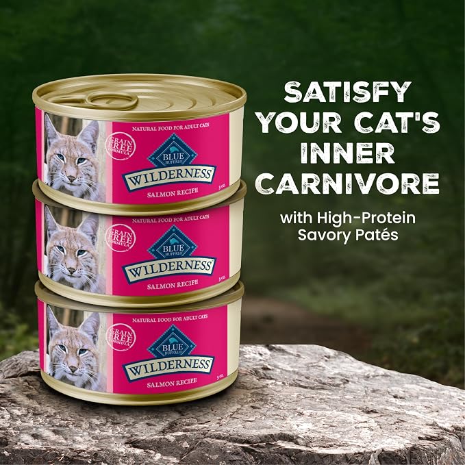 Blue Buffalo Wilderness Salmon Paté Adult Wet Cat Food, 3 oz, 24 ct | Real Salmon #1 Ingredients, High Protein & Grain-Free Recipes, Supports Energy for an Active Life