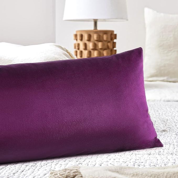 Artscope Luxury Velvet Lumbar Pillow Cover Super Soft Decorative Rectangle Throw Pillow Covers Case Cushion Covers for Sofa Couch Bedroom Car Decor 14x36 Inch Eggplant Purple