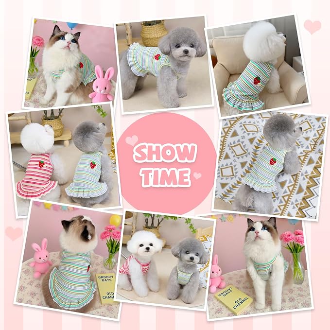 Cute Small Dog Dress Girl Female Dog Clothes Spring Summer Pet Puppy Cats Striped Dress Outfits for Shih Tzu Yorkies Chihuahua Maltese(Strawberry Green,XX-Large)