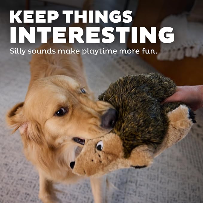 Outward Hound Hedgehogz Plush Dog Toy, Squeaks & Grunts, Large, 12" x 7" | Soft Realistic Faux Fur, Round for Rolling & Chasing, Cuddle & Carry, Interactive Fetch, Light Chewers, Dogs & Puppies