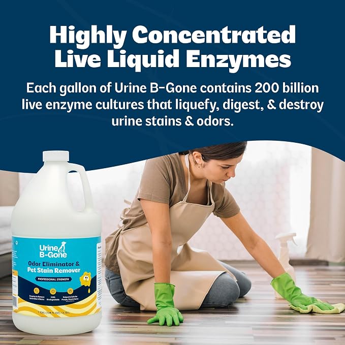 Urine B-Gone Enzyme Cleaner for Human, Cat & Dog Urine, Original, 1 Gallon | Enzyme cleaner for human, cat and dog urine on laundry, carpets and more; original scent, 1-gallon size.