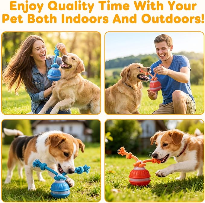 Zealburst Interactive Pet Toy, 360° Auto Rolling Moving Toy for Dogs and Cats, Alleviate Boredom (Orange)