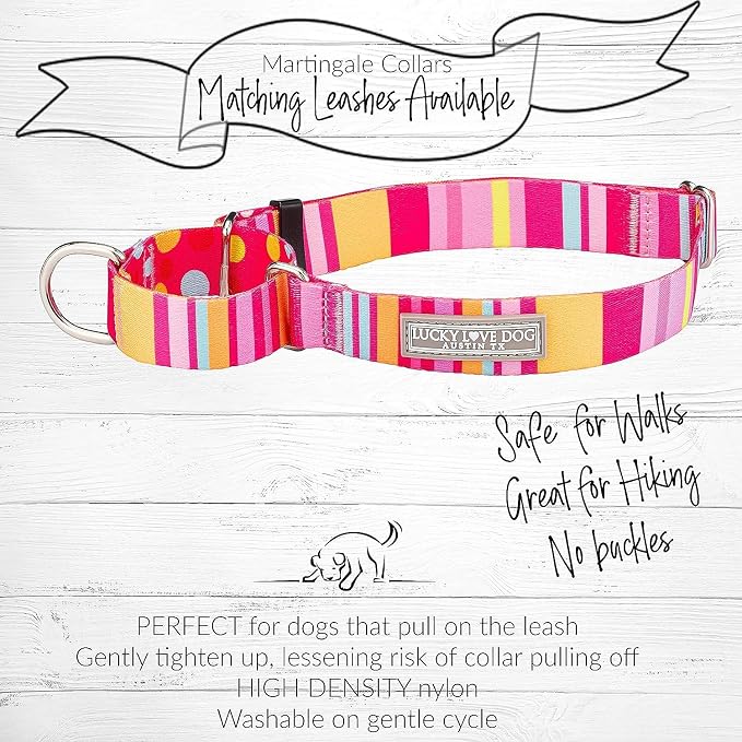 Lucky Love Dog Martingale Collar & Leash Set No Slip Cute – Molly, Medium
