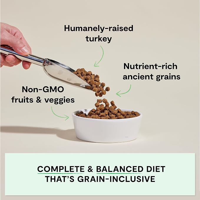 Open Farm Ancient Grains Dry Dog Food, Homestead Turkey Kibble, 11lb Bag | All Life Stages, All Breed Sizes, Protein-Rich & Nutrient Dense, 100% Traceable Ingredients, Non-GMO Fruits & Veggies.