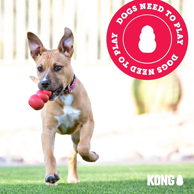 KONG Classic Stuffable Dog Toy, Natural Rubber Chew, for Large Dogs | Treat-Filling Fetch & Chew Toy with Erratic Bounce, Made from KONG Durable Natural Rubber for Extended Playtime