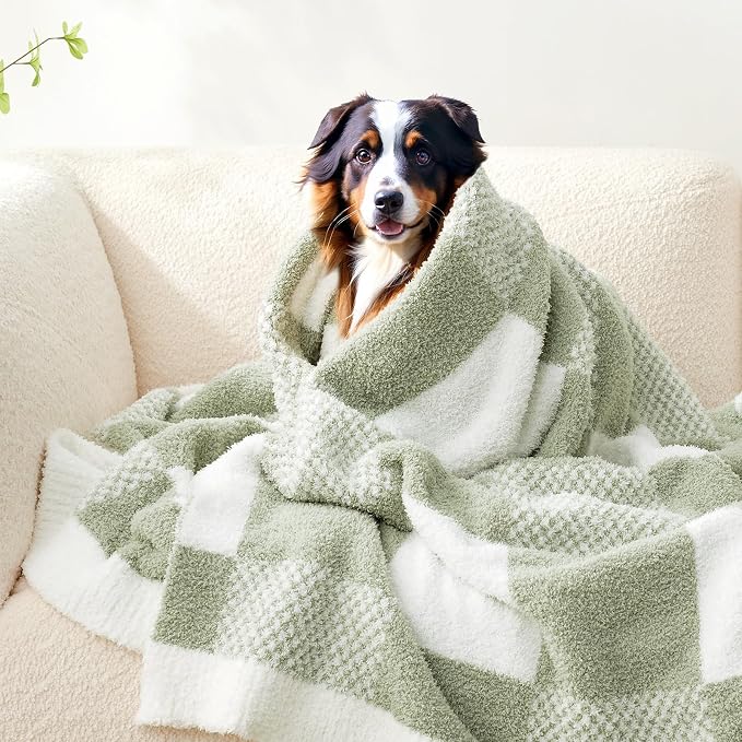 Snuggle Sac Checkered Blanket, Sage Green Throw Blanket for Couch Checker Microfiber Warm Fuzzy Cozy Soft Oversized Throw XL Reversible Checkered Blankets for Sofa, Chair, Bed, 50x70 inches