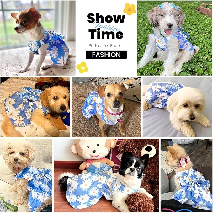 ABRRLO Cute Dog Dress Small Dog Clothes for Girls Female Puppy Outfits Blue Daisy Pet Summer Clothes Bowknot Doggy Cat Princess Dress Harness Set for Holiday Birthday Party Costume Clothing (Blue,L)