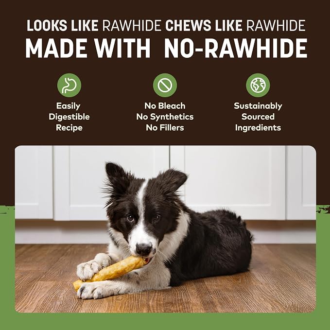 Earth Animal No Hide Dog Chews - Rawhide Free Medium Rolls 6 Count Pork | Medium Pork Flavored Natural Rawhide Free Long Lasting Dog Chews - Treats for Medium Dogs and Aggressive Chewers