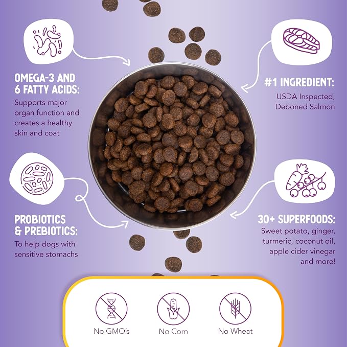 Health Extension Grain Free Salmon & Sweet Potato Dry Dog Food - 30+ Superfoods and Probiotics for All Life Stages (10 lb)