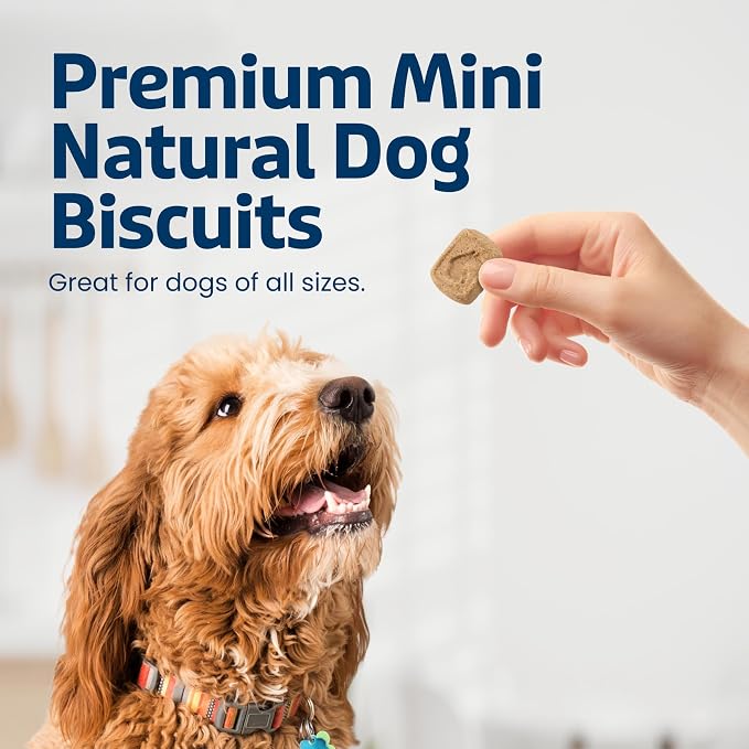 Blue Buffalo Health Bars Apples & Yogurt Mini Dog Biscuits, 16 oz | Smaller Bite, Same Crunch, Oven-Baked, No Chicken By-Product, Corn, Wheat, or Soy
