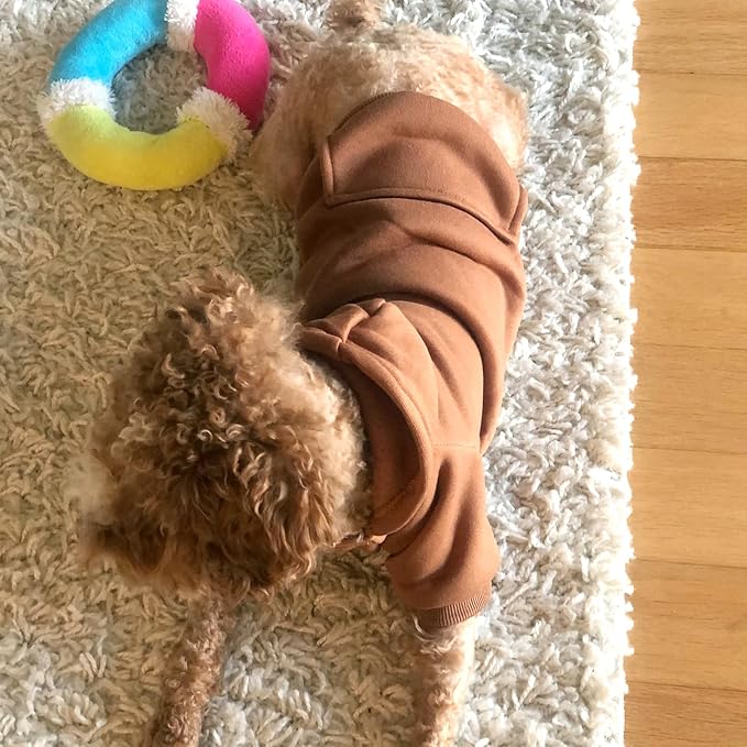 Soft Dog Hoodies for Small Dogs, Warm Fleece Puppy Clothes with Pocket | Jecikelon cold weather coat, cute puppy costume, breathable sweatshirt for dogs girl & boy, machine washable, easy on & off