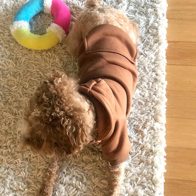 Soft Dog Hoodies for Small Dogs, Warm Fleece Puppy Clothes with Pocket | Jecikelon cold weather coat, cute puppy costume, breathable sweatshirt for dogs girl & boy, machine washable, easy on & off