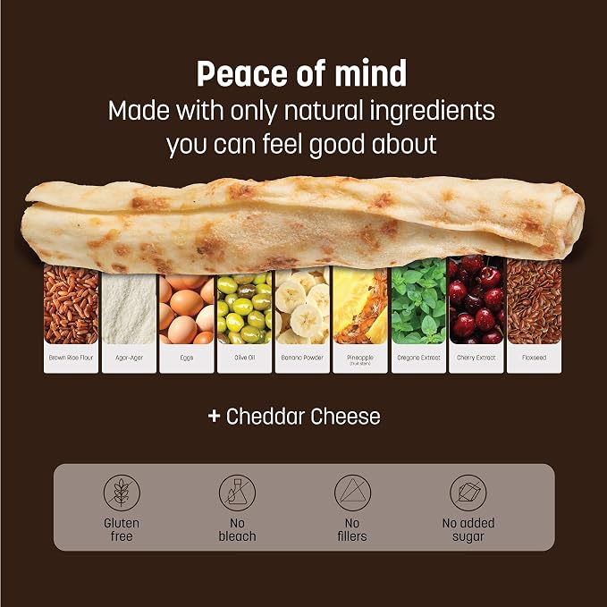 Earth Animal No Hide Dog Chews - Medium Rolls 3 Count Grilled Cheese | Medium Grilled Cheese Flavored Natural Rawhide Free Long Lasting Dog Chews - Treats for Medium Dogs and Aggressive Chewers