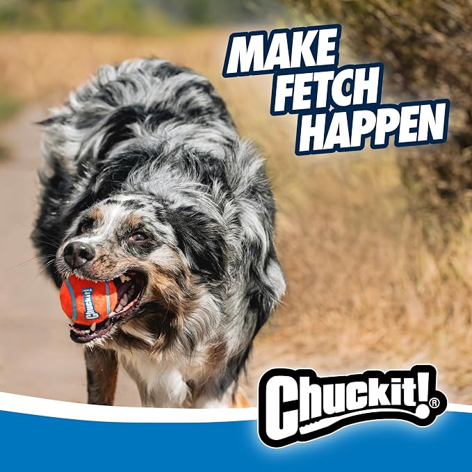 Chuckit! Dog Ball Launcher 12M Sport with 12" Handle Length for Medium 2.5" Dog Balls for Dogs 20-60 lb, Plastic Pet Fetch Ball Thrower, Perfect to Kids, Made in USA, Blue, 12in (Pack of 12)