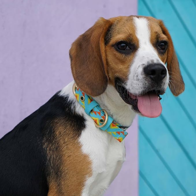Blueberry Pet Southwestern Tribal Triangles River Blue Adjustable Dog Collar with Metal Buckle, Neck 17-20.5", for Large Breed