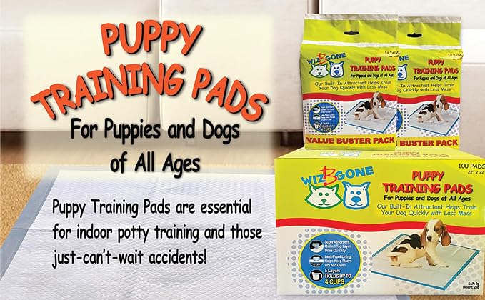 Scoochie Pets Large Dog Training Pads, 22 x 22, 12 Pack | Absorbent Sheets for Adult & Young Pets, Leak-Proof Pee Pads, Convenient Box, Ideal for Home & Travel