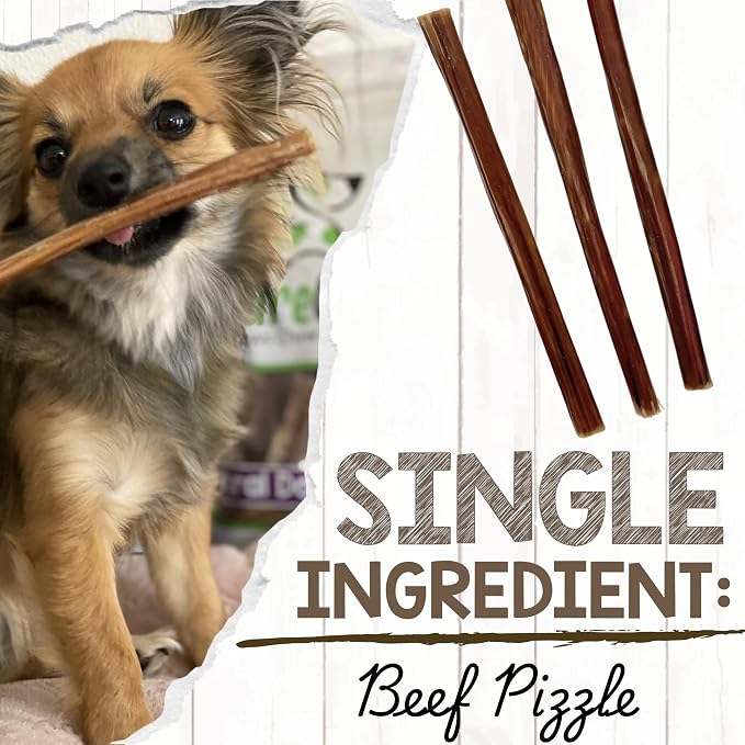 Nature Gnaws Small Bully Sticks 5-6" Rawhide Free Dog Chews, 5 Count | Long Lasting for Light Chewers and Puppies - Natural Thin Beef Dog Chew Bones - No Artificial Preservatives