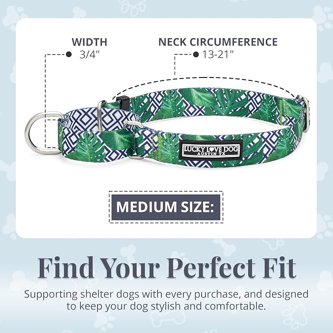 Lucky Love Dog Martingale Collar for Medium Dogs Cute – Blue Laguna, Medium