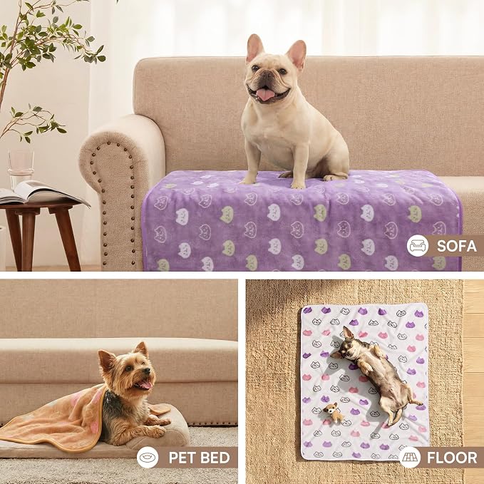 Luciphia 3 Pack Cute Cat Blankets Cozy Small Throw for Pet Puppy,30"x20" | 280GSM Fuzzy Kitten Pet Blankets Washable for Crate Bed Couch Car Indoor - Puppy Essentials Dog Gift