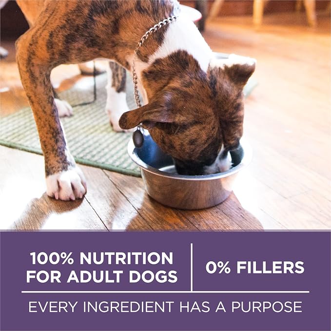 Purina ONE Plus Senior Dry Dog Food, Adult 7+, 16.5 lb Bag