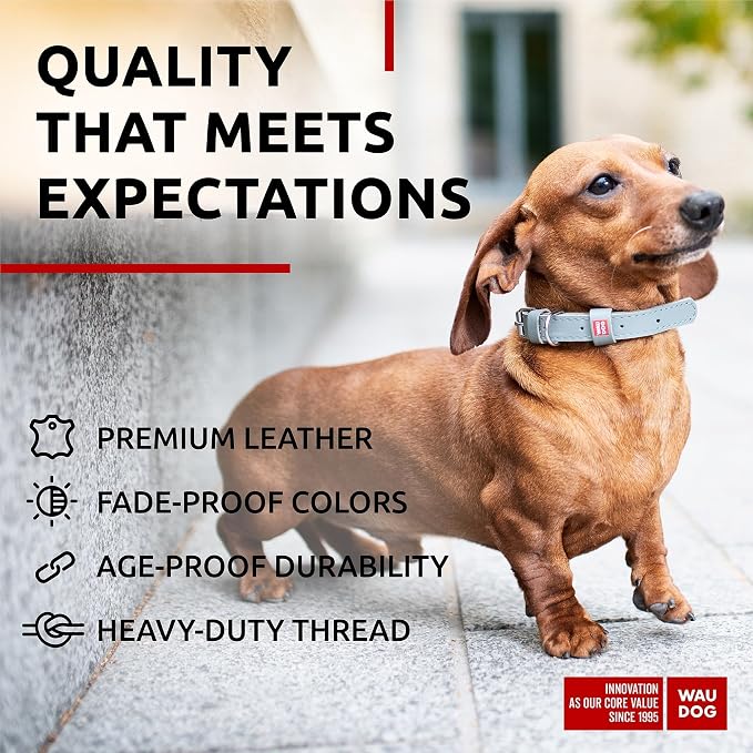 WAUDOG Genuine Leather Dog Collar Adjustable Large Medium Small QR Code Tag