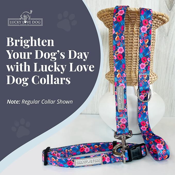 Lucky Love Dog Martingale Collar and Leash Set for Small Dogs – Zuzu, Small