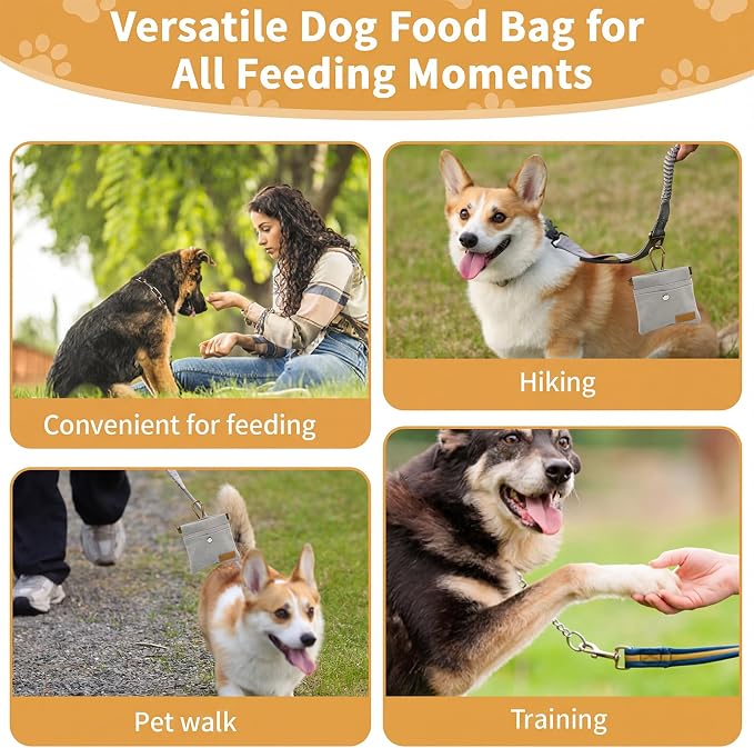 Dog Treat Pouch for Pet Training, Carabiner & Magnetic Buckle, Grey