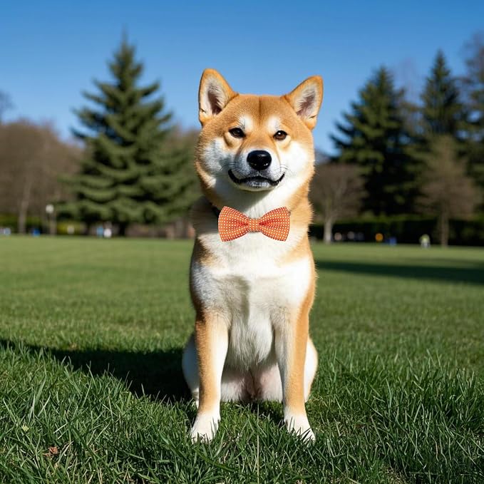 PET SHOW 8 Pack Dot Dog Bowties for Small Dogs Slide on Collar