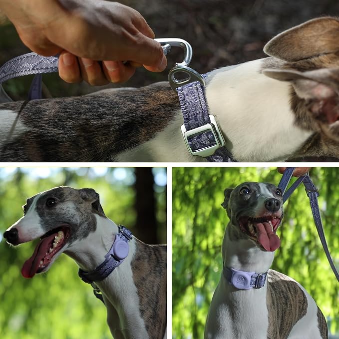 AirTag Dog Collar, Reflective Nylon, Metal Buckle, IP68, Dog Collar with AirTag Holder, Heavy Duty Dog Collars for Large Medium Small Dogs (Lavender Purple, L：Width 1",Neck 16.1"-25.2")