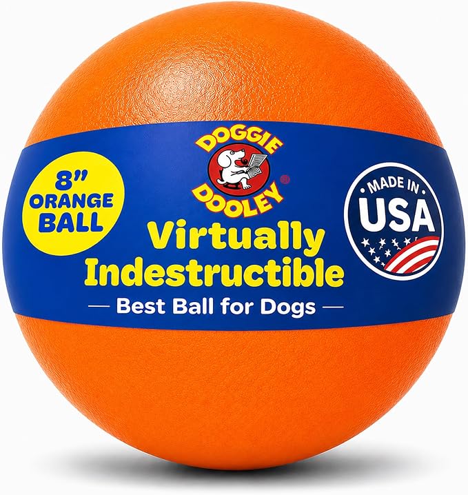 Doggie Dooley Virtually Indestructible Dog Ball - 8 Inch Hard Plastic Interactive Dog Toy for Large Breeds Over 35+ lbs - Built for Herding & Push Play - Floats in Water, Made in USA - Orange