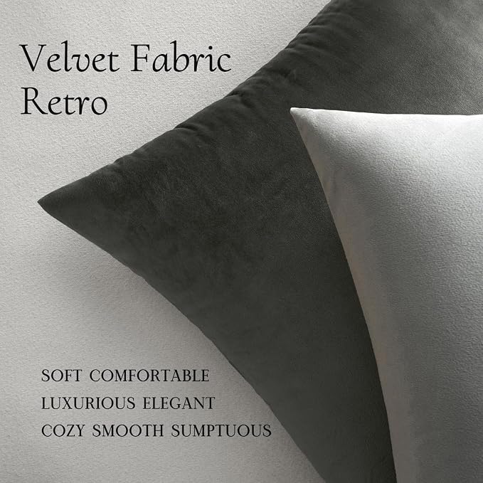 MIULEE 24x24 Inch Pack of 2 Euro Velvet Throw Pillow Covers Medium Gray | Soft Solid Decorative Euro Sham, Modern Luxury Home Decor, for King Bed Sofa Couch Bedroom Livingroom