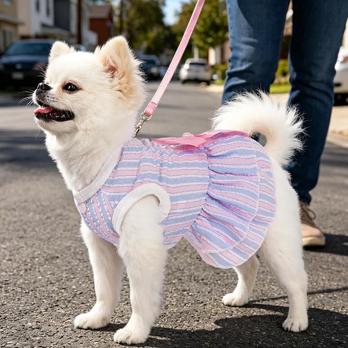 Dog Dress, Cute Pet Princess Dresses with Bright Color Design, Sweet Bowknot, Dog Clothes for Small Dogs Girl, Breathable & Lightweight, for Spring Summer, 2 Pack (Rose PinkBlue, Large)