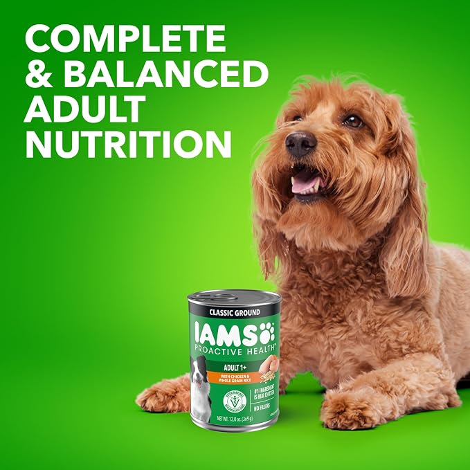 IAMS Proactive Health Ground Wet Dog Food, Chicken, 13 oz, 12 Pack | Made with real chicken, Omega-6 for skin & coat, no fillers or artificial flavors, 100% complete & balanced adult maintenance