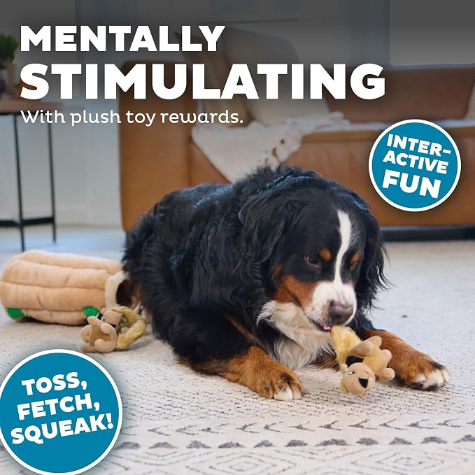 Outward Hound Hide-A-Squirrel Plush Squeaky Dog Toy, XL, 7" x 11.8" | Hide-n-Seek Puzzle, 6 Removable Squirrels, Fetch Play, Interactive Enrichment, Boredom Buster, Light Chewers, Dogs & Puppies