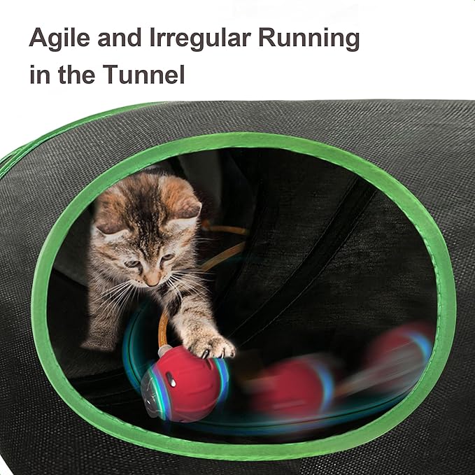 Interactive Cat Toy, Motion-Activated Ball in Enrichment Tunnel | USB-C Rechargeable Rolling Ball with Touch Reactivation, Fast/Slow Modes, And Prey-Like Movement for Indoor Cats and Kittens.