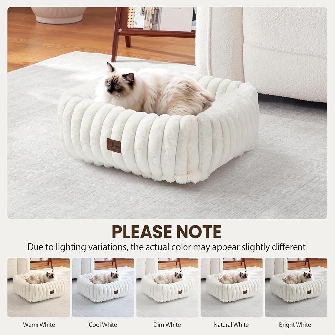 Cute Dog Bed for Small Dogs & Cats,Washable Fluffy Cat Beds for Indoor Cats, Rectangle Orthopedic Memory Foam Puppy Beds with Anti-Slip Bottom, 20 x19 x 6 Inches, Cream (20x19x6 inches)