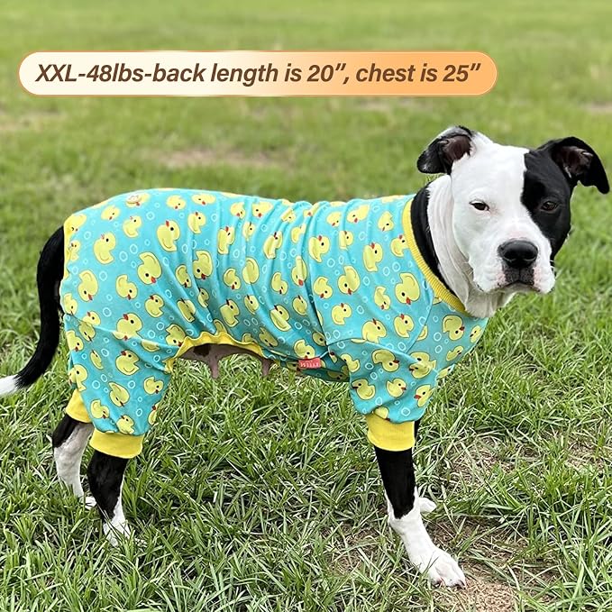 KYEESE Velvet Dog Pajamas for Medium Large Dogs Soft Onesie, Vehicles | 4-Way Stretch, Lightweight & Breathable, Reduces Shedding, Gentle on Sensitive Skin, Recovery Support, Easy Potty Breaks