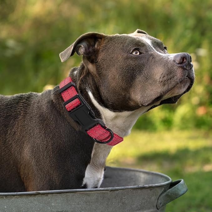 Mile High Life Reflective Dog Collar, Adjustable Lightweight Quick Release