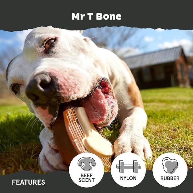 BarkBox Super Chewer Tough Dog Chew Toys - Large | for Aggressive Chewers, Dental Stimulating T Bone