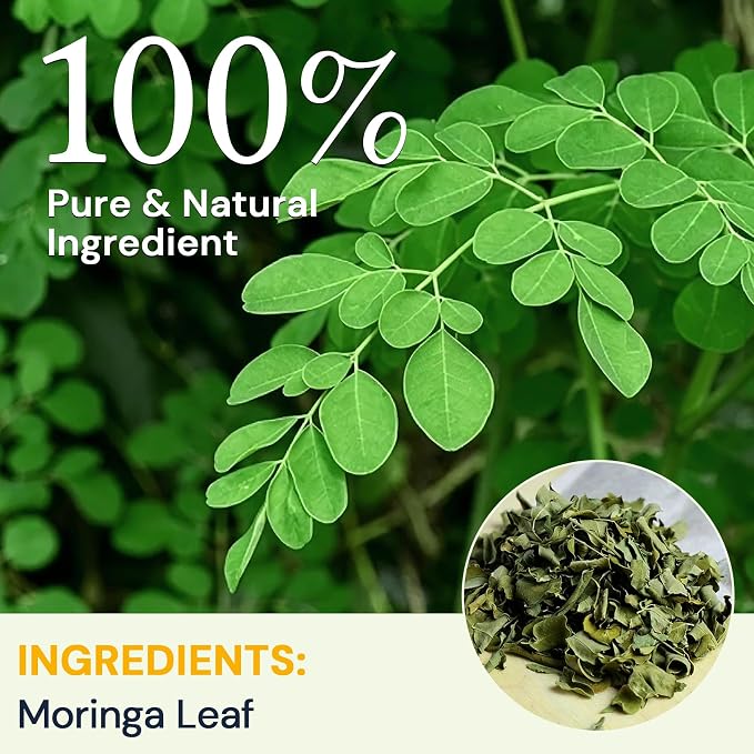 Moringa Leaf Tea - Caffeine Free, 100 Teabags