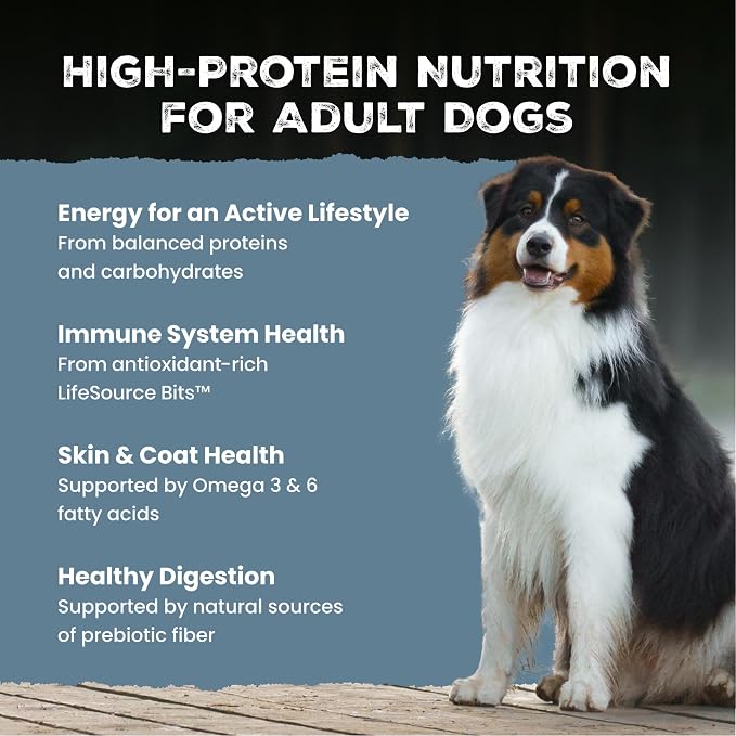 Blue Buffalo Wilderness Salmon & Wholesome Grains Adult Dry Dog Food 4.5 lb | 39g Protein, Real Salmon #1 Ingredient, Antioxidant-Rich Fruits & Veggies, High Protein to Fuel Adventures